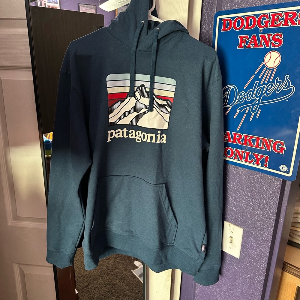 Patagonia Blue Sweatshirt Hoodie
